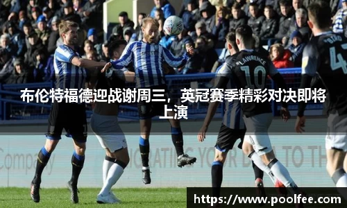 博鱼boyu体育